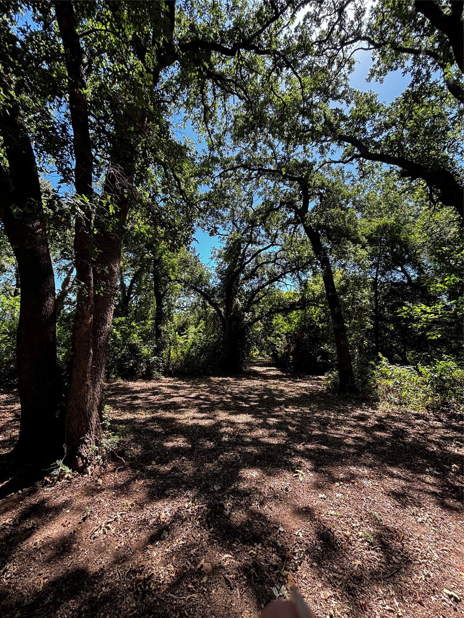 11.81 acres in Erath County - photo 24