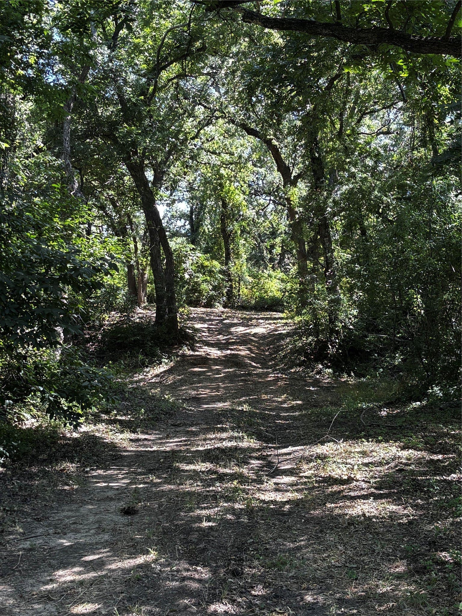 11.81 acres in Erath County - photo 22