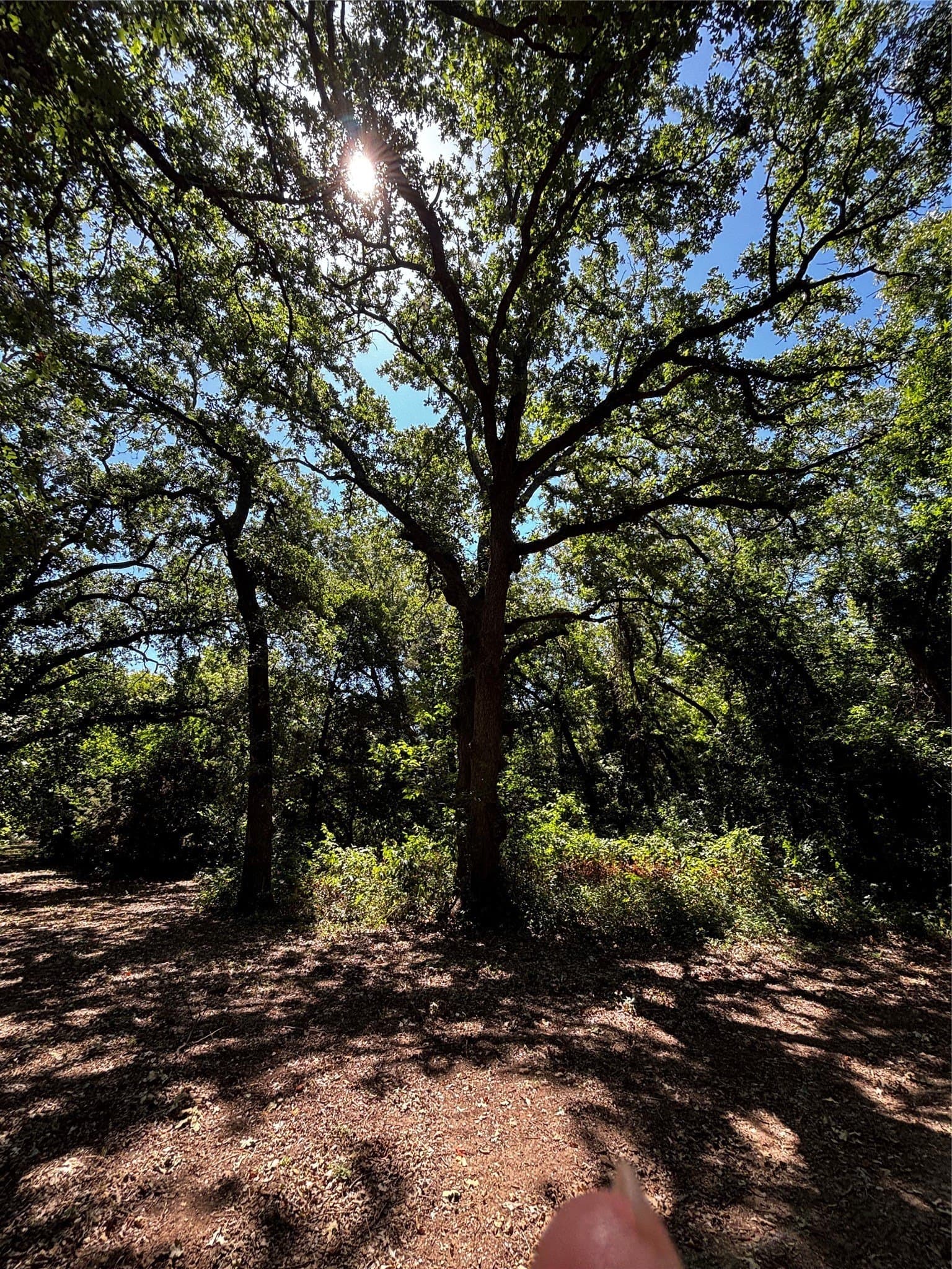 11.81 acres in Erath County - photo 23