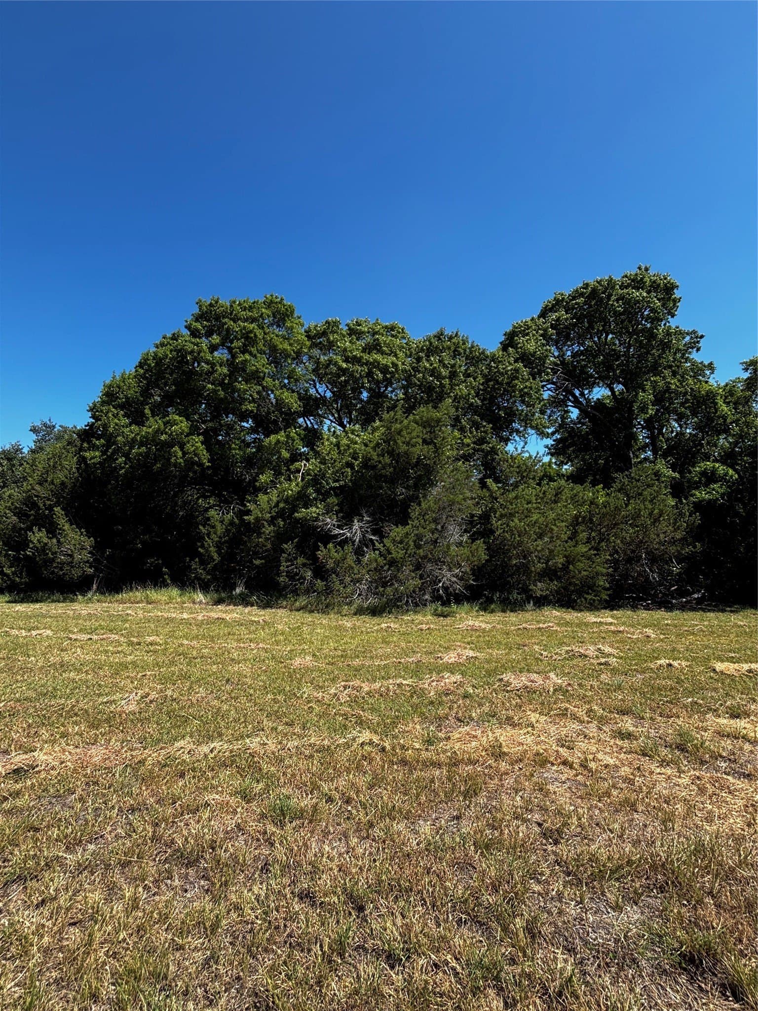 11.81 acres in Erath County - photo 3