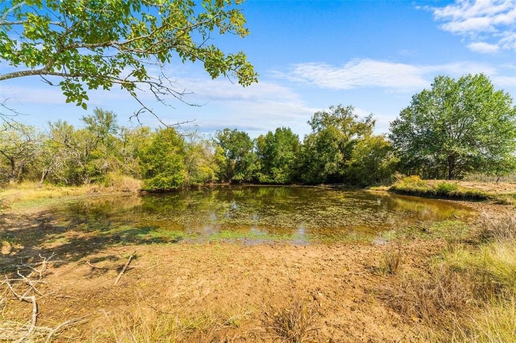 94.23 acres in Limestone County gallery image 3