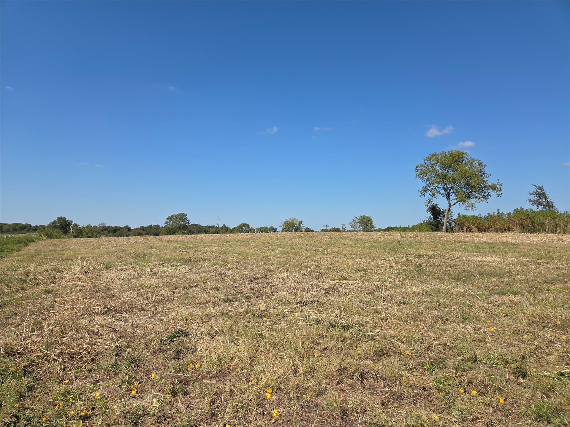 1.16 acres in Navarro County - photo 19