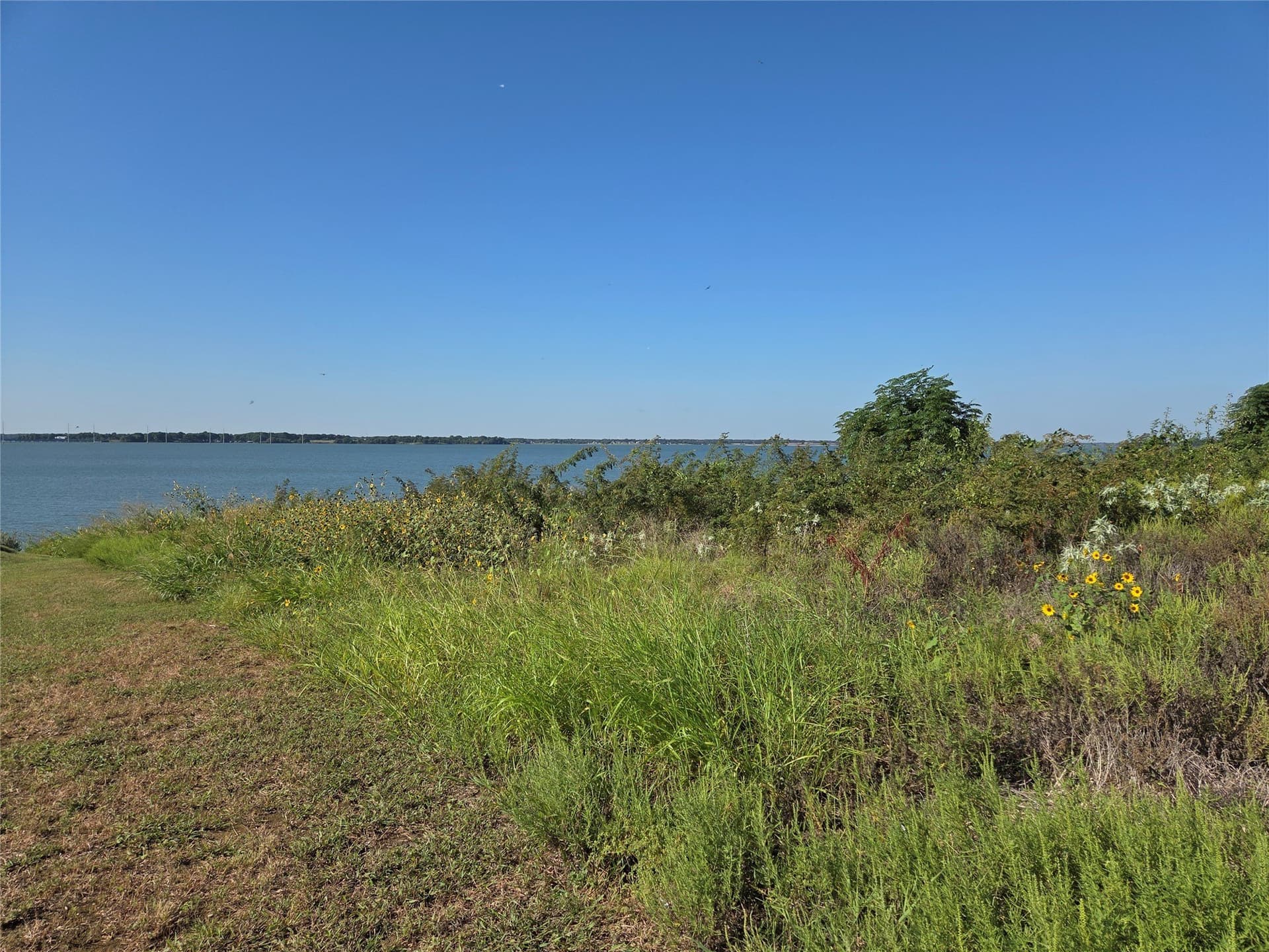 1.16 acres in Navarro County - photo 5