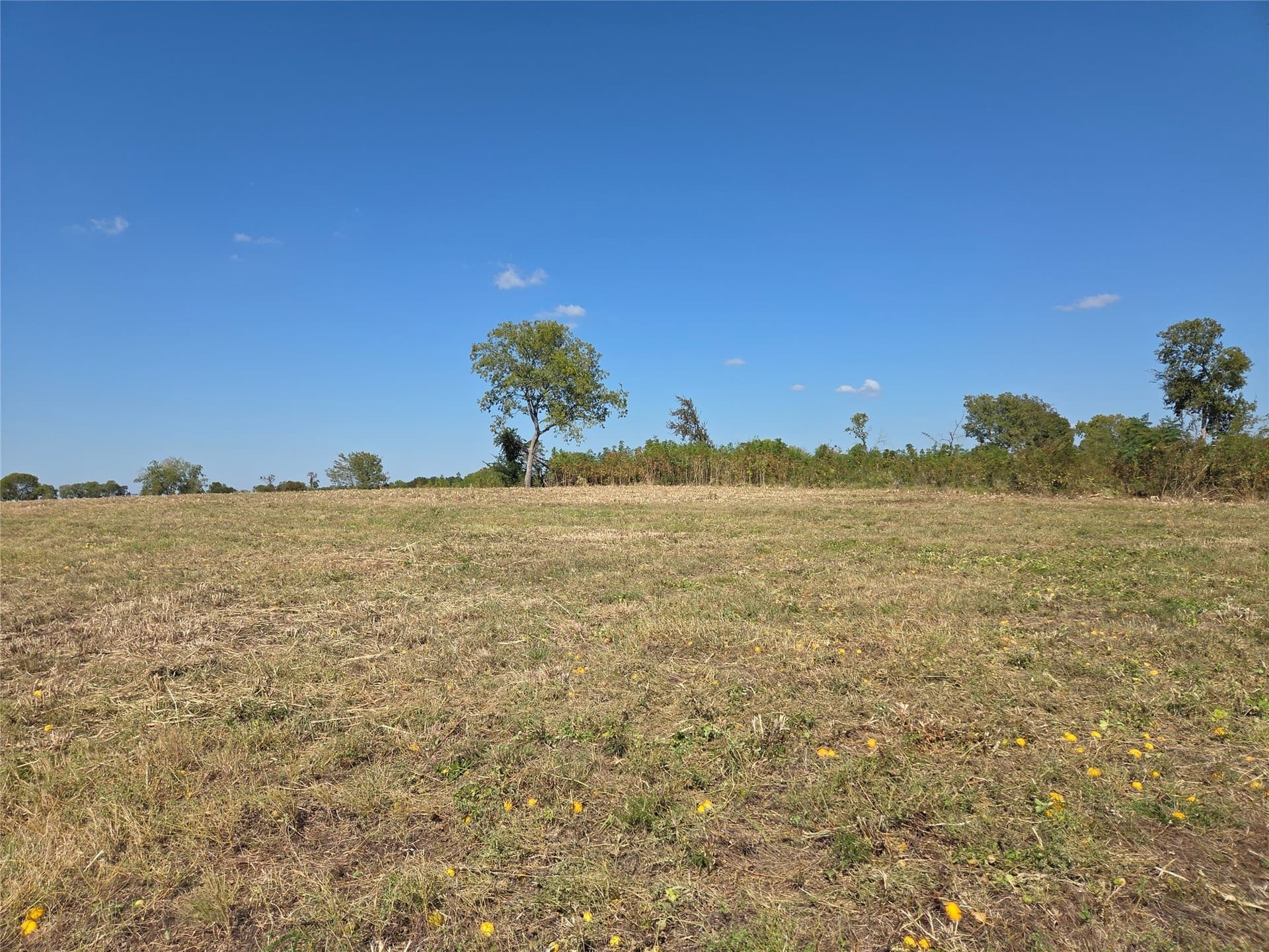 1.16 acres in Navarro County - photo 17