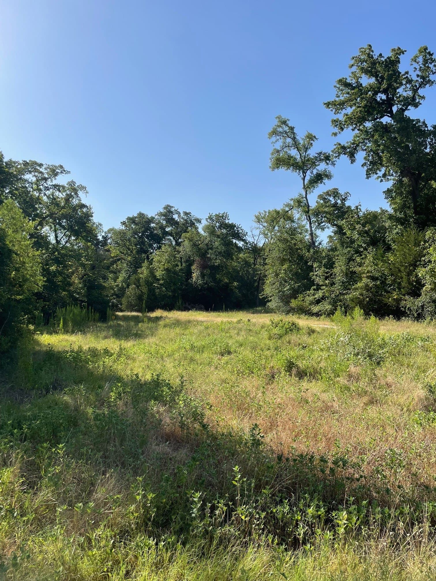 91.75 acres in Limestone County - photo 7