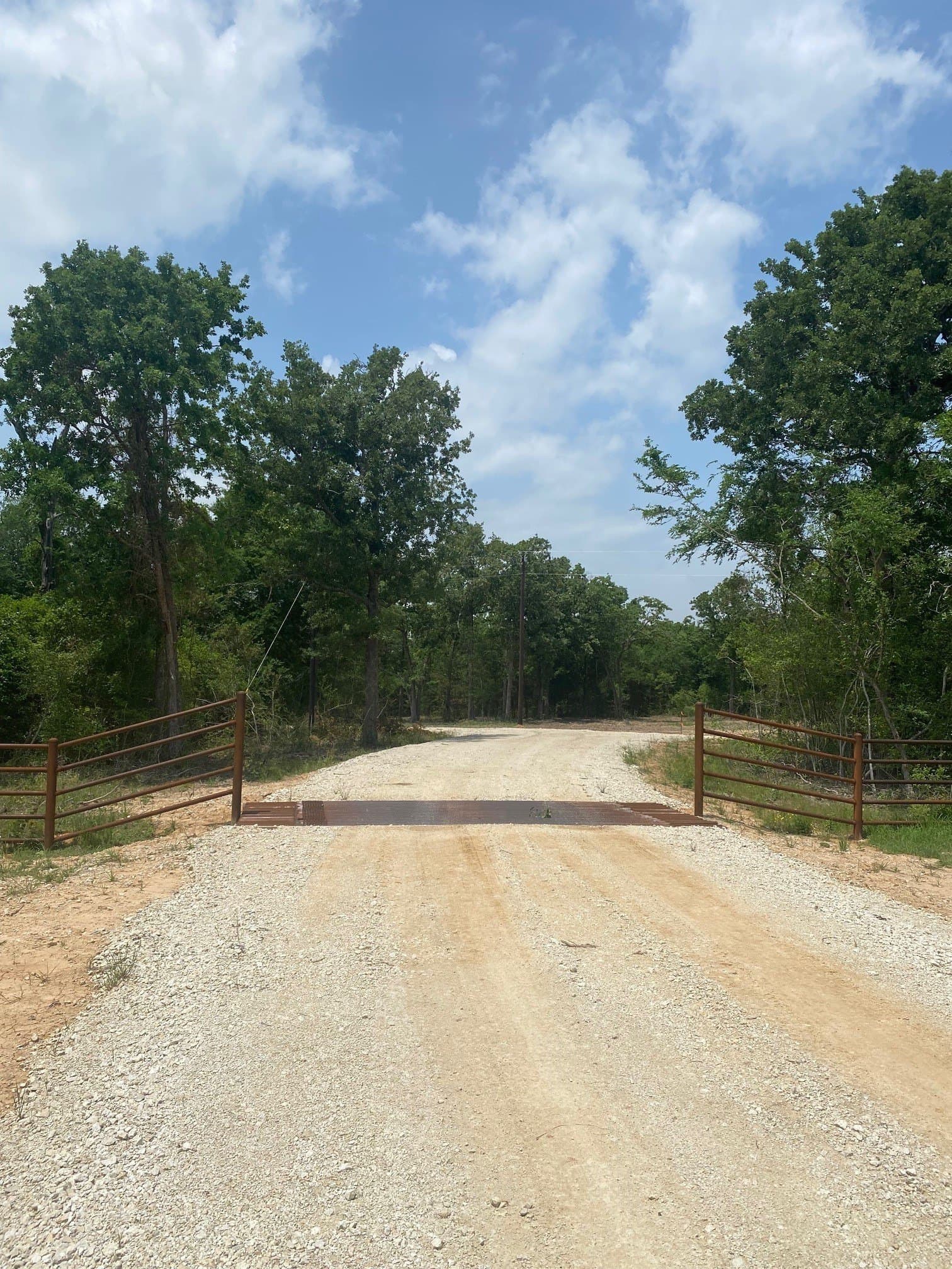 91.75 acres in Limestone County - photo 4
