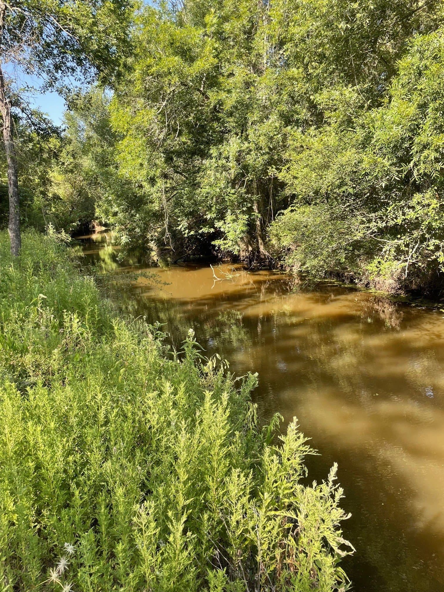 91.75 acres in Limestone County - photo 3