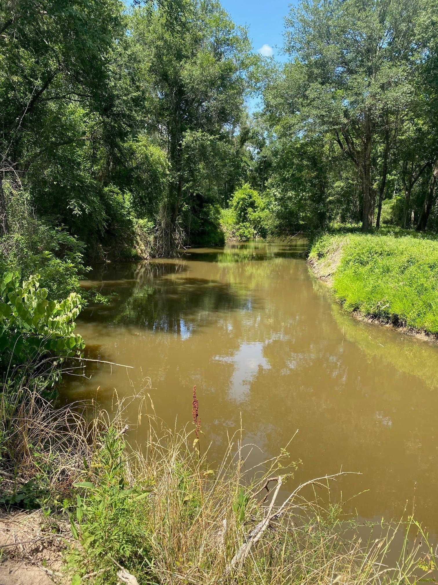 91.75 acres in Limestone County - photo 2