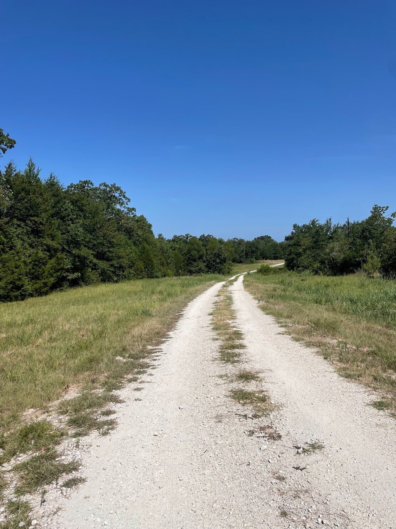 91.75 acres in Limestone County - photo 16