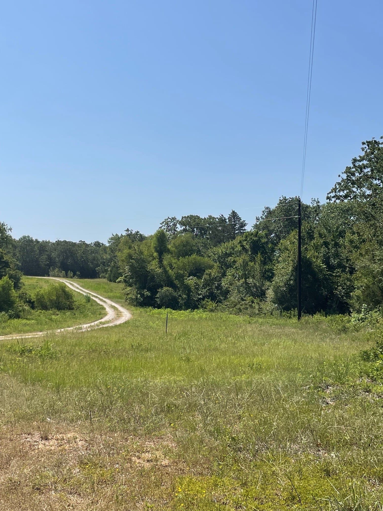 91.75 acres in Limestone County - photo 5
