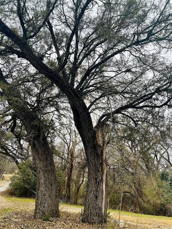 0.76 acres in Hamilton County gallery image 2