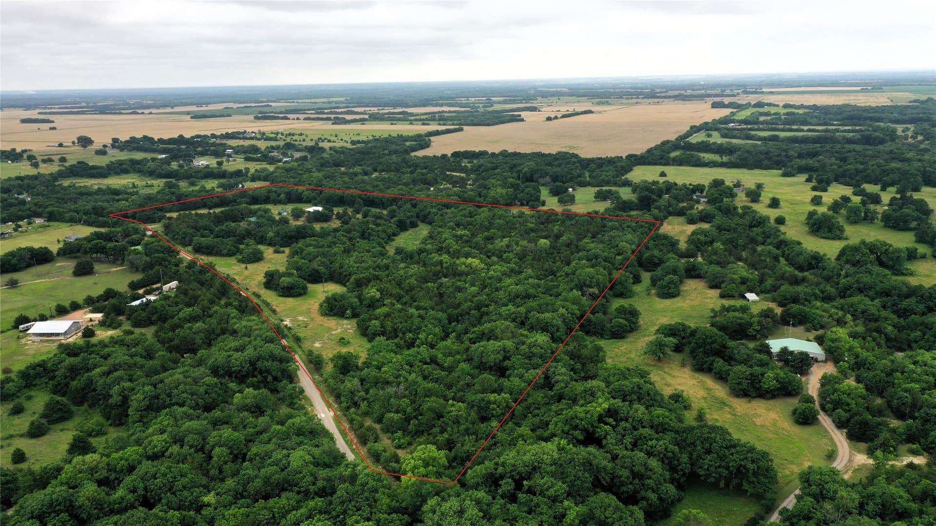 31.33 acres in Fannin County - photo 23