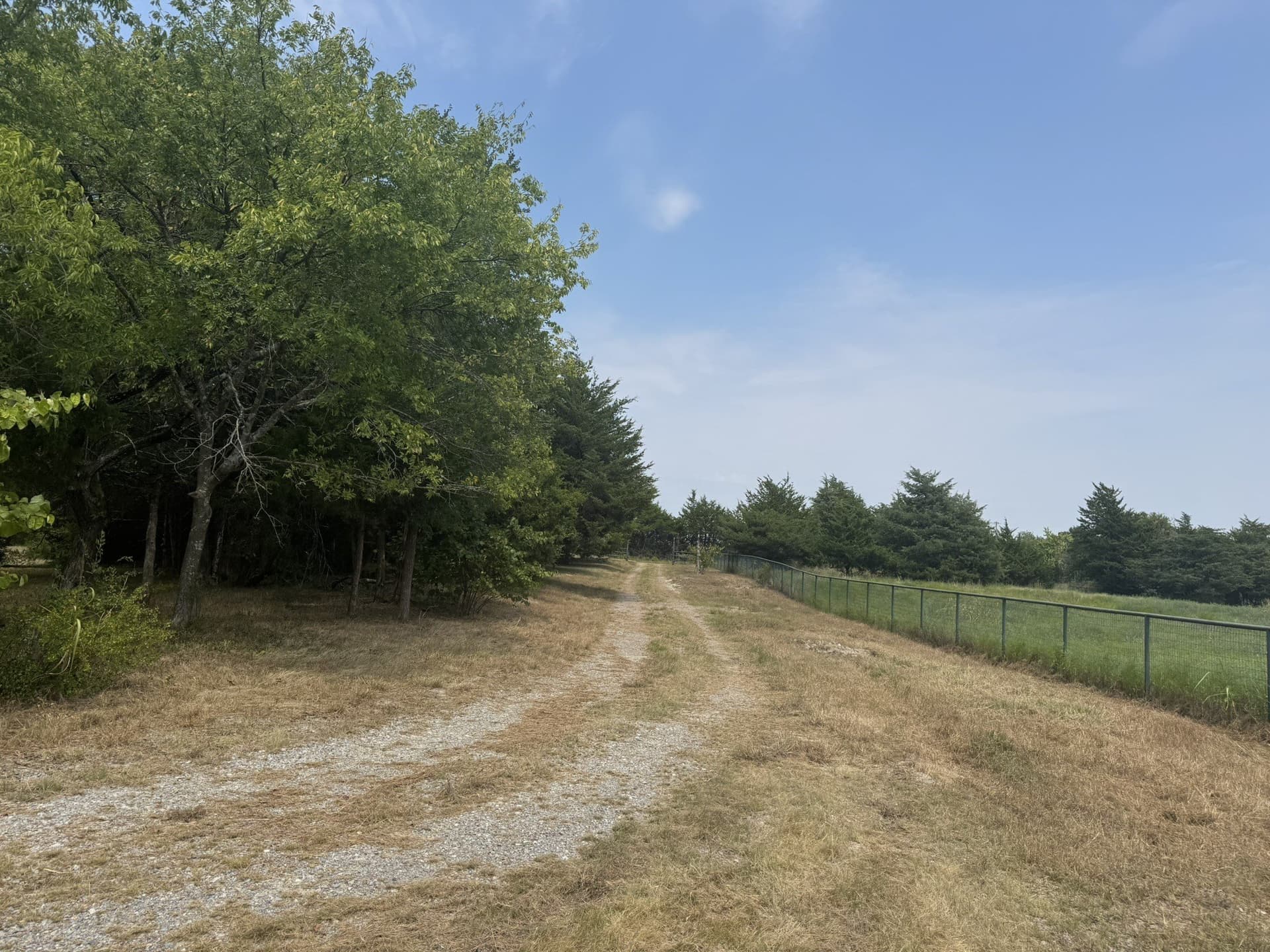 31.33 acres in Fannin County - photo 21