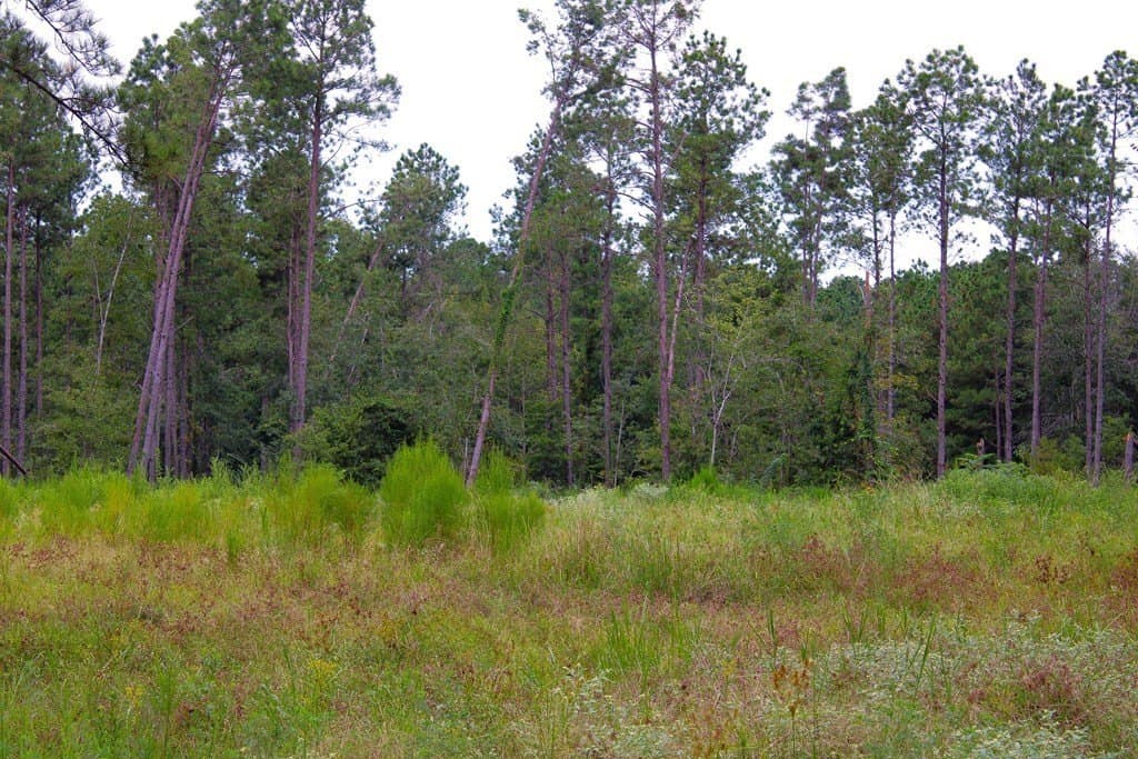 48.01 acres in Texas County - photo 6