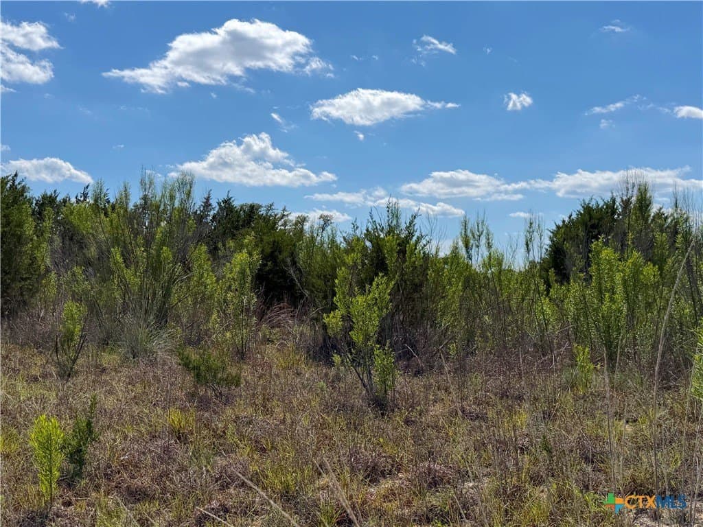 1.4 acres in Comal County - photo 11
