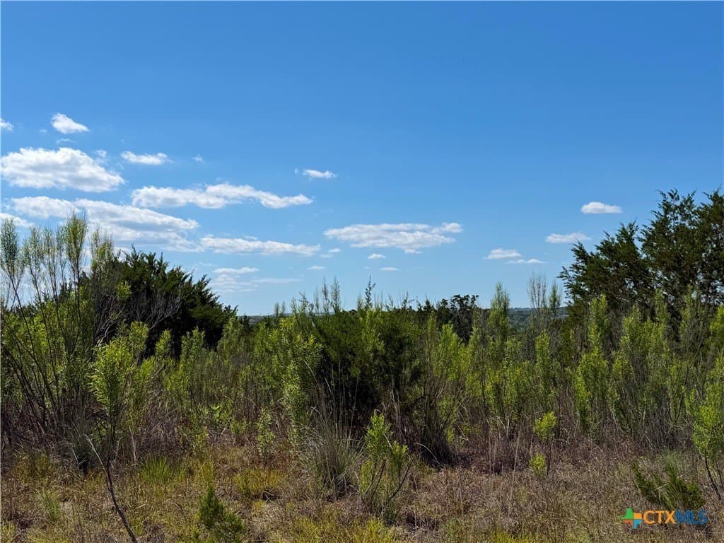 1.4 acres in Comal County - photo 6