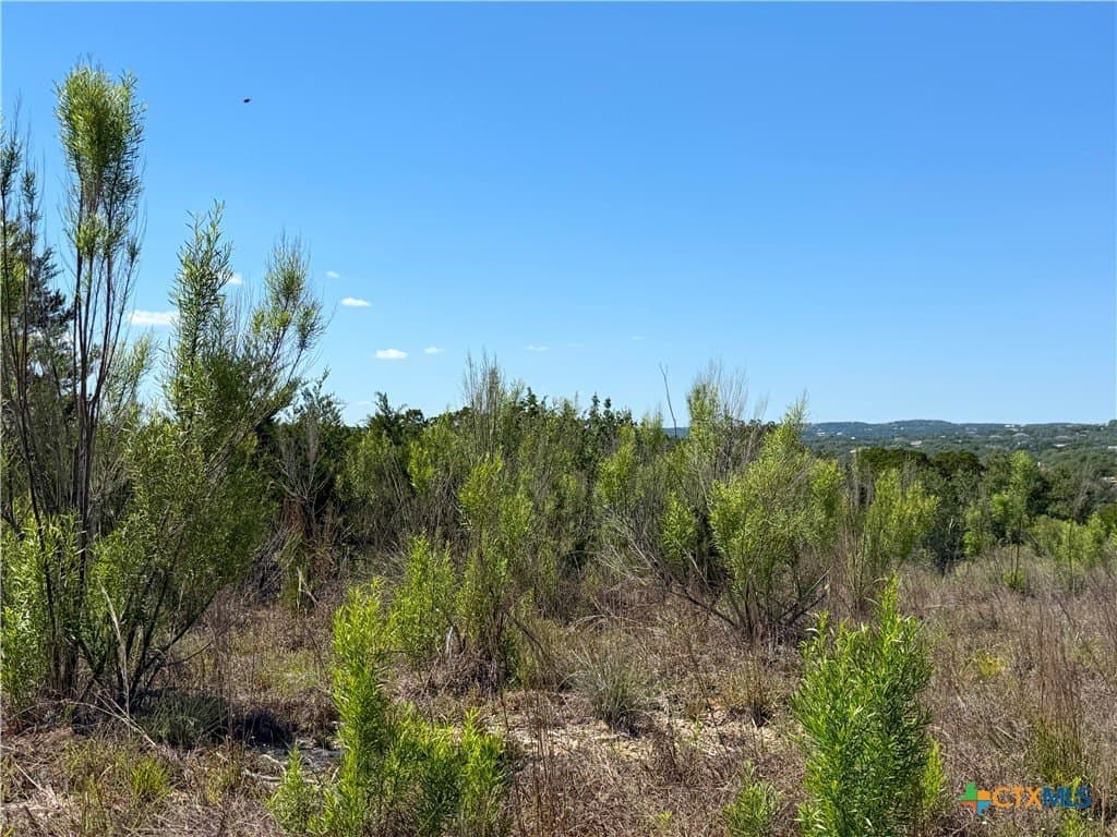 1.4 acres in Comal County - photo 10