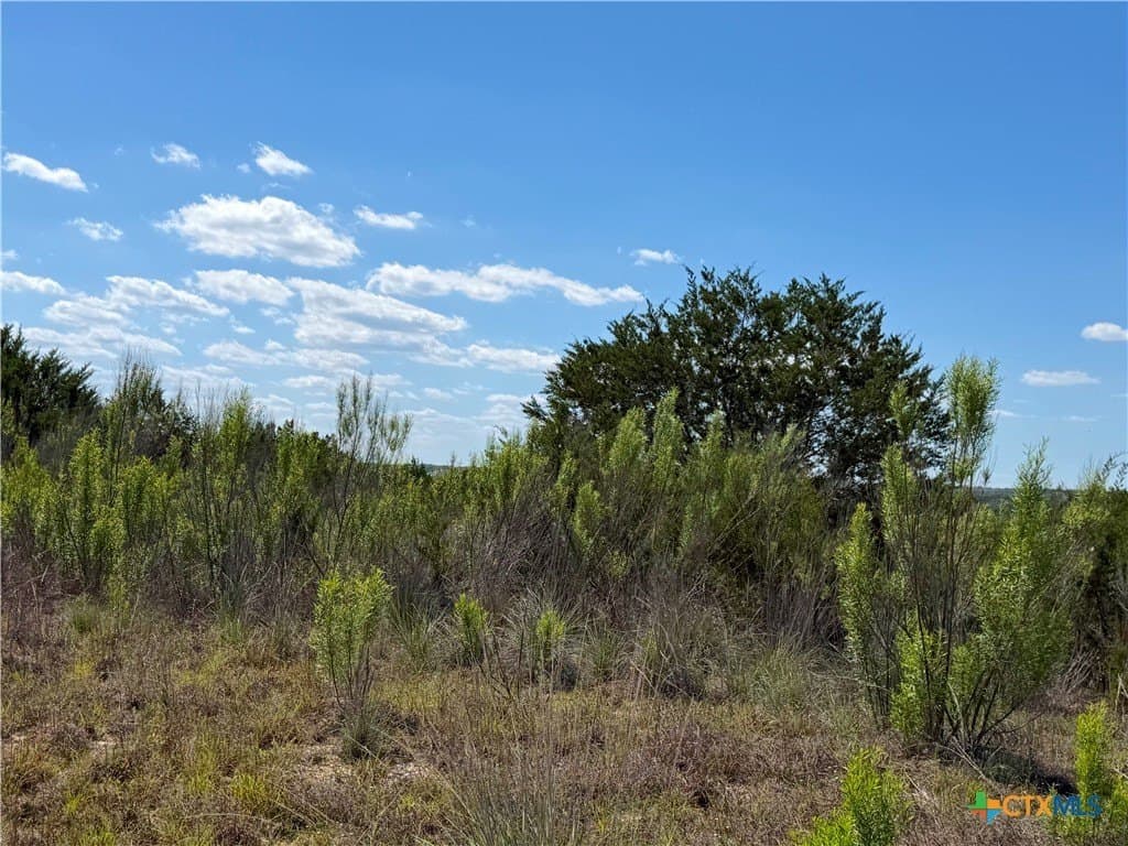 1.4 acres in Comal County - photo 9