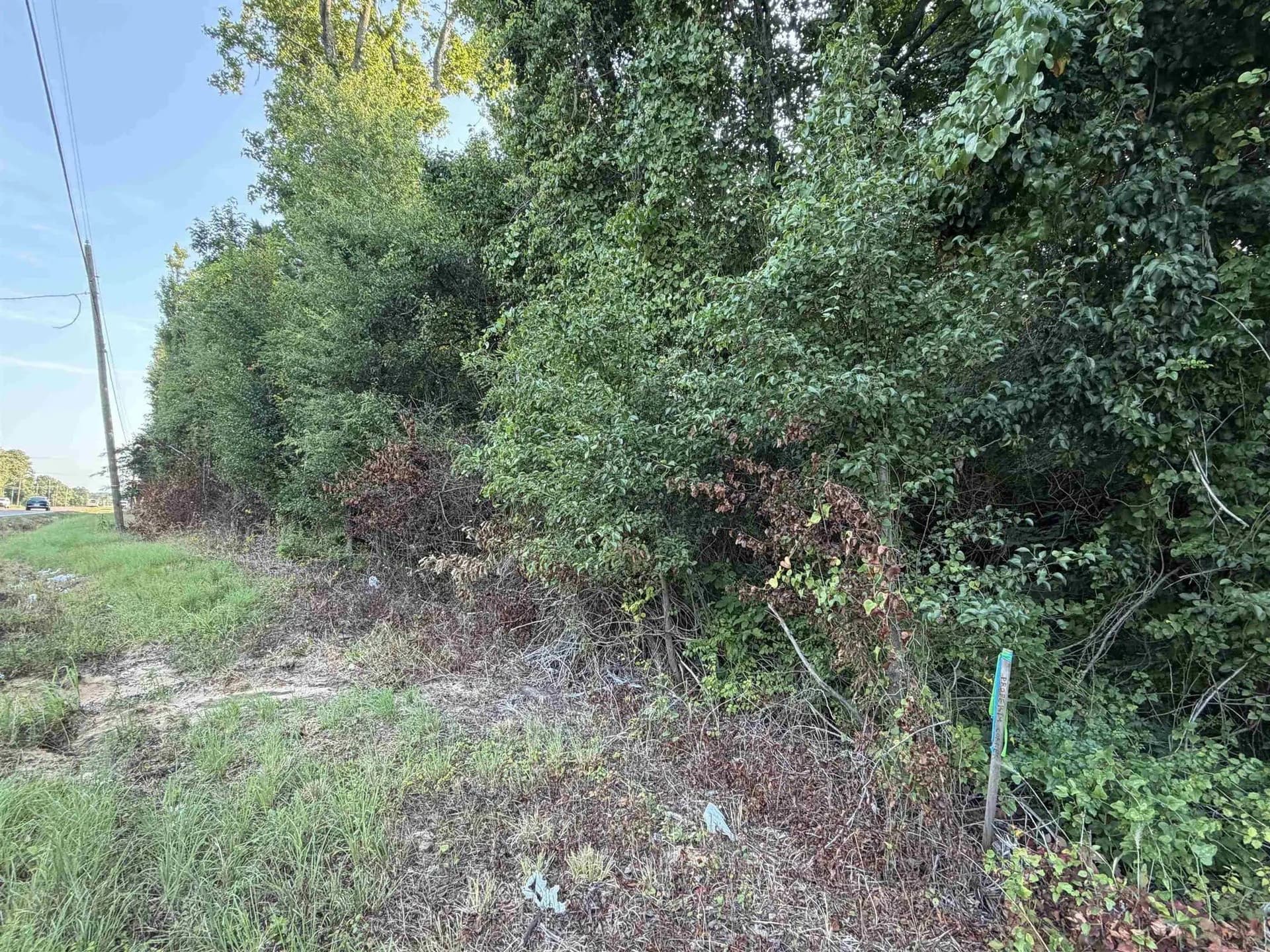 8.35 acres in Bowie County - photo 4