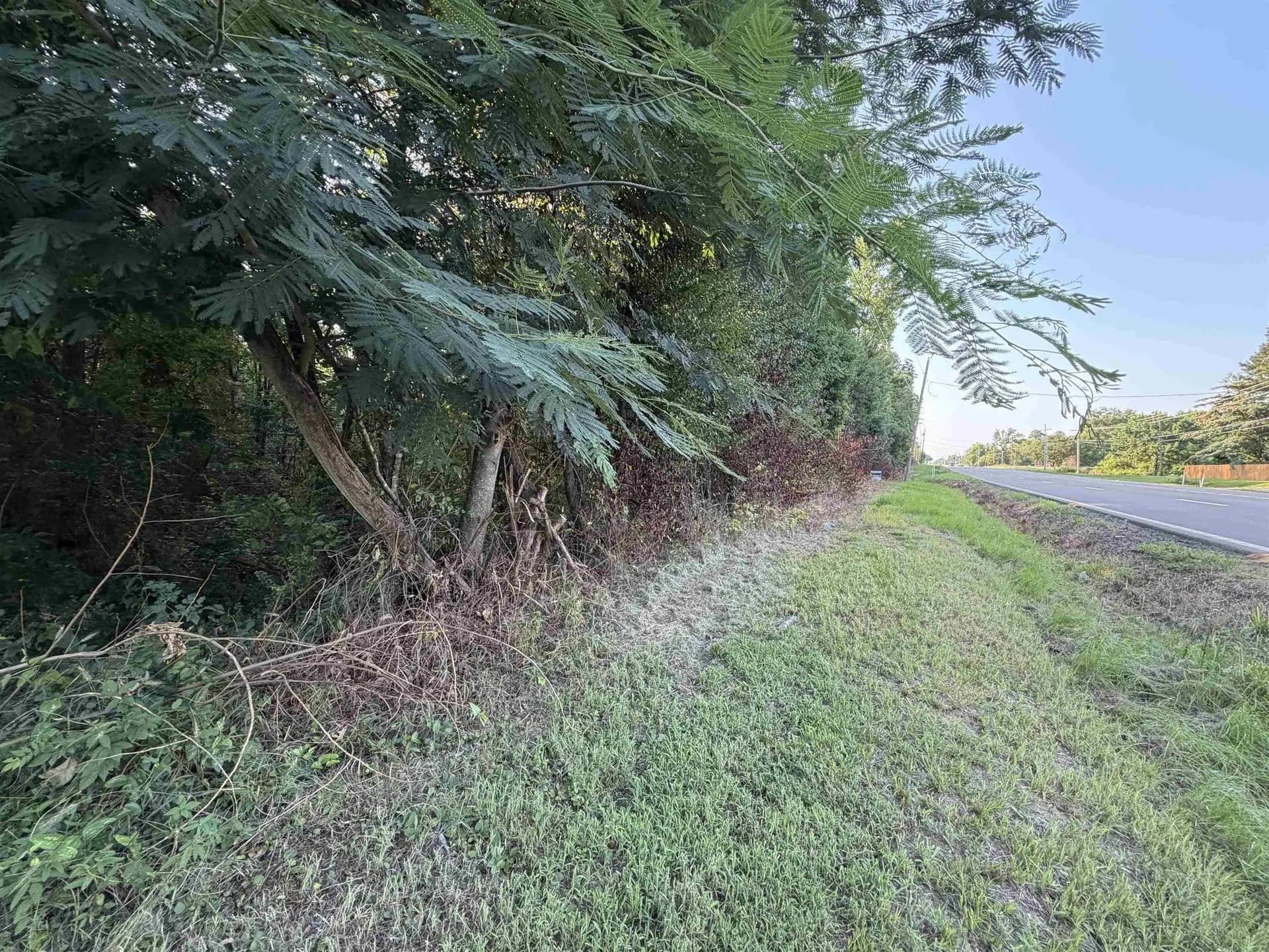 8.35 acres in Bowie County - photo 7