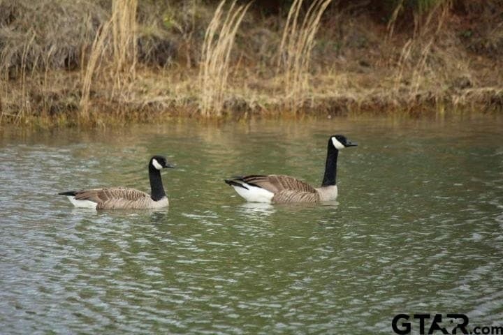 0.9 acres in Anderson County - photo 22