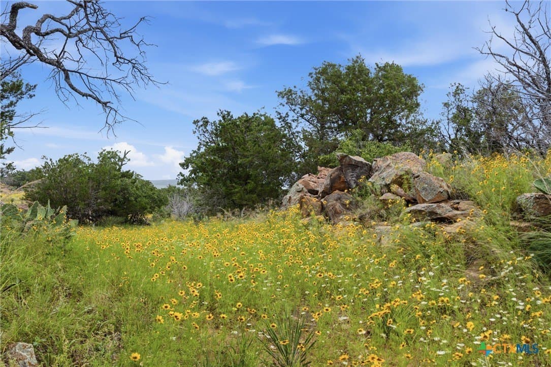1.27 acres in Burnet County - photo 9