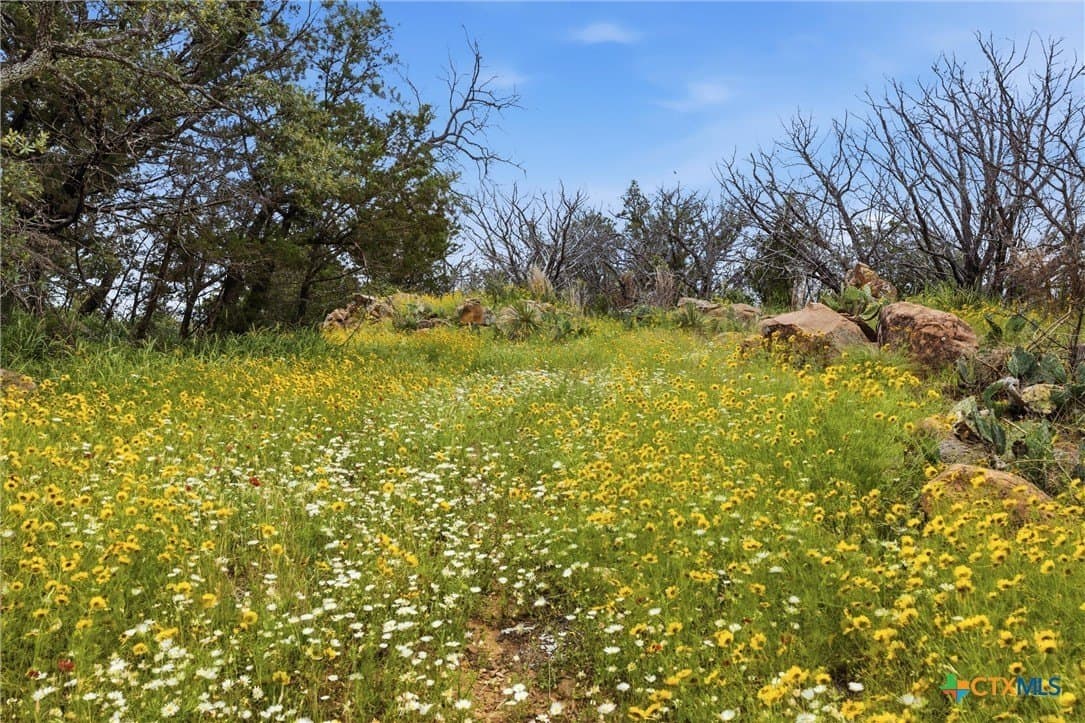 1.27 acres in Burnet County - photo 6