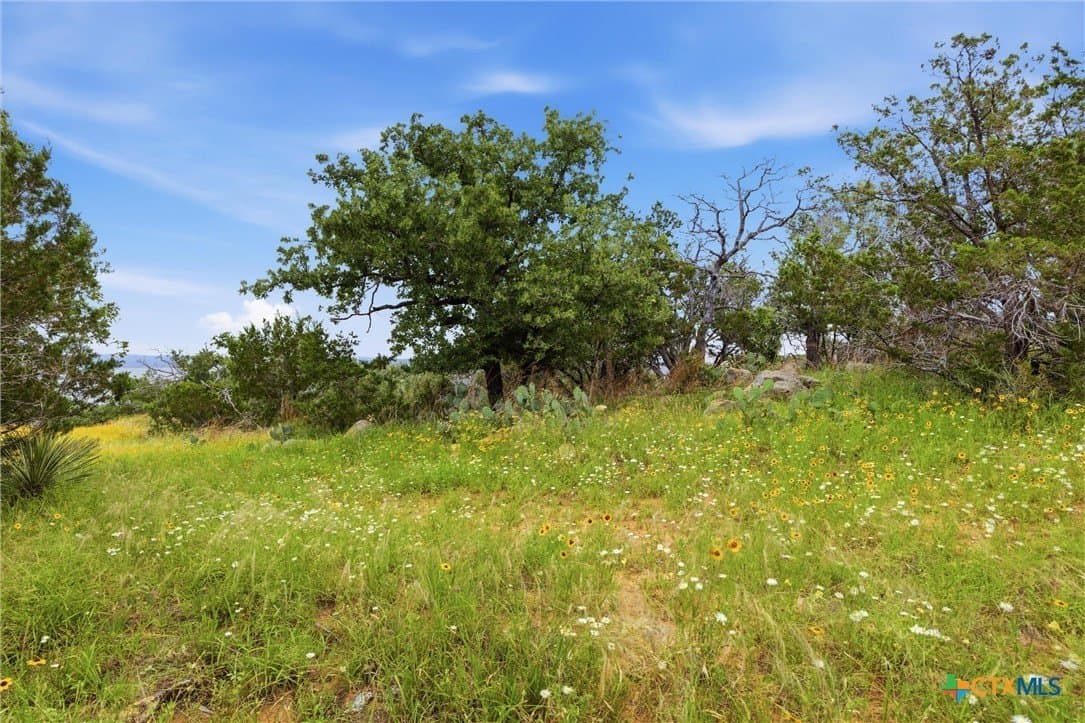 1.27 acres in Burnet County - photo 10