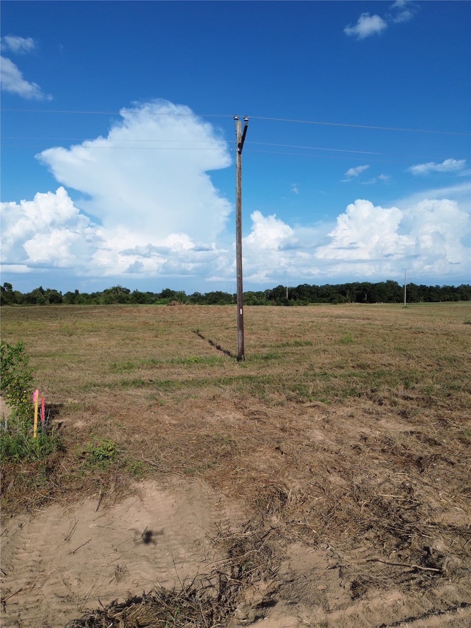 3.92 acres in Robertson County - photo 6