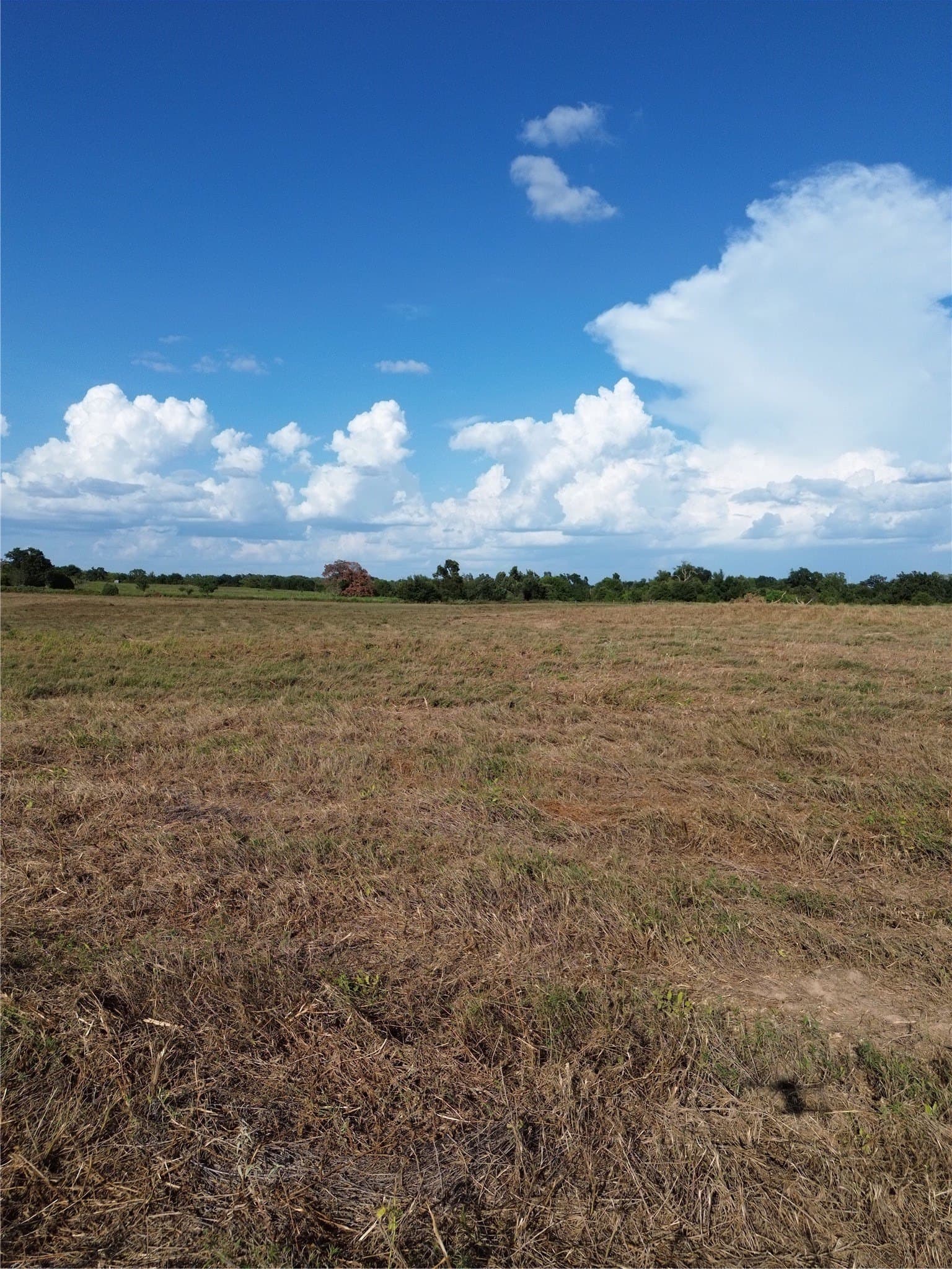 3.92 acres in Robertson County - photo 3