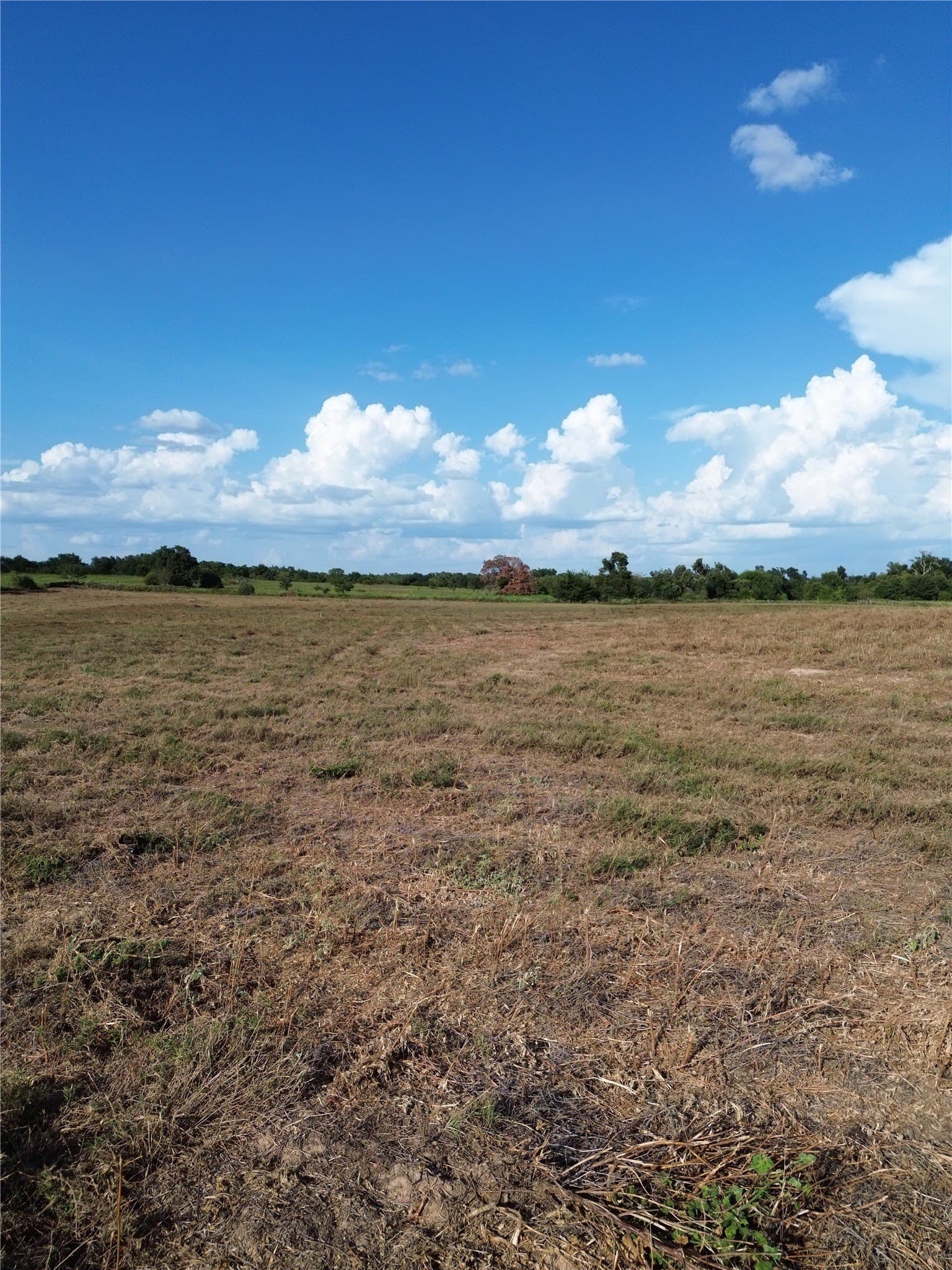 3.92 acres in Robertson County - photo 2