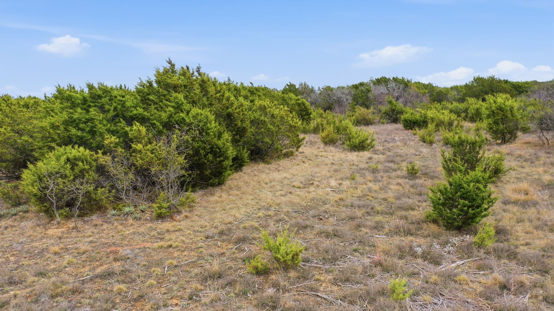 2.16 acres in Erath County - photo 8