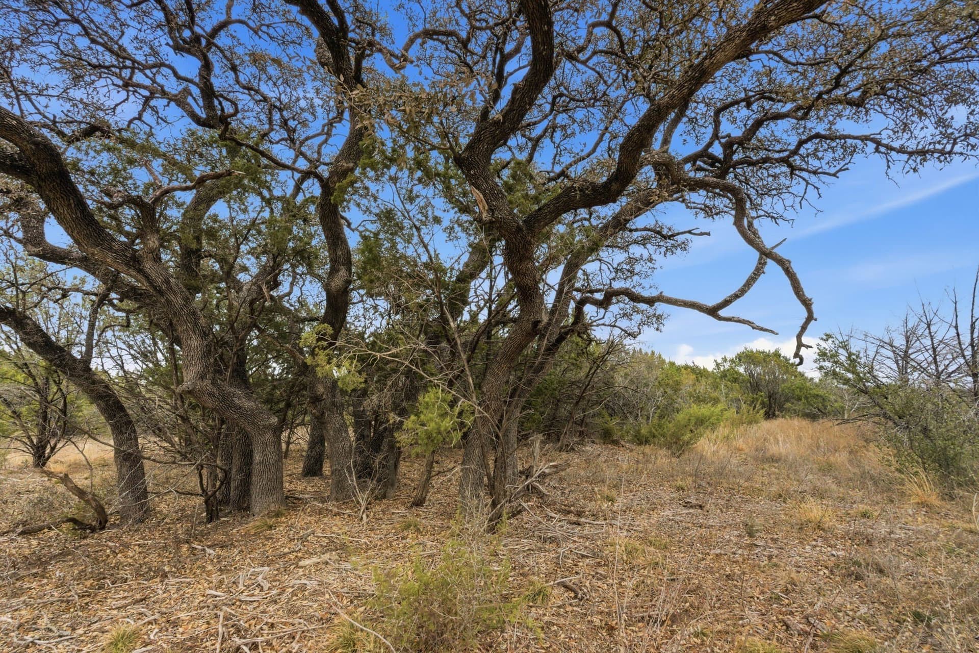 2.16 acres in Erath County - photo 10