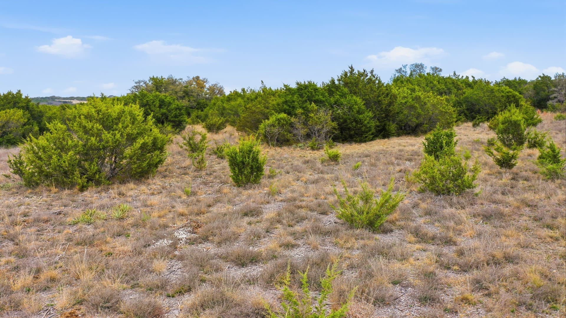 2.16 acres in Erath County - photo 9