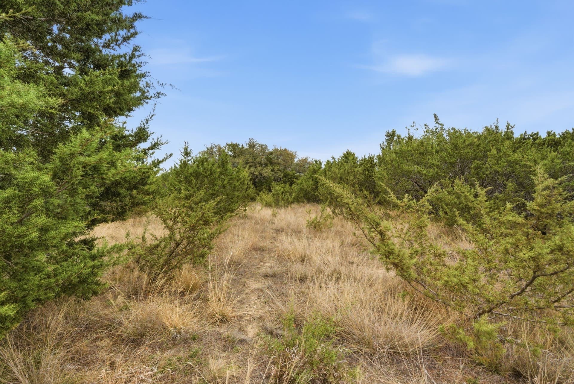 2.16 acres in Erath County - photo 11