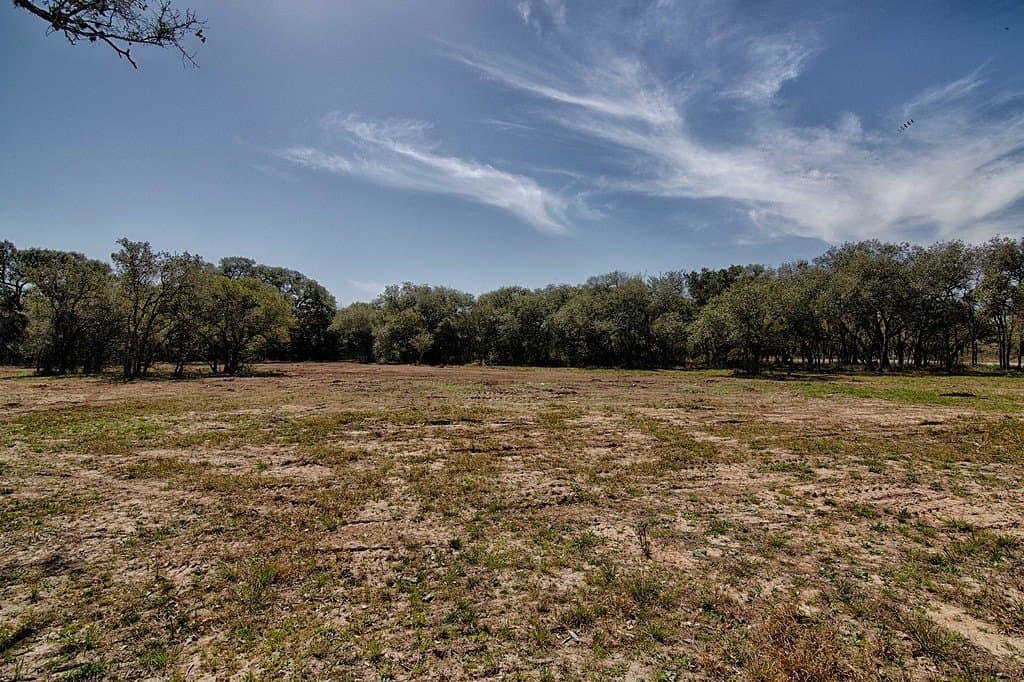 5.01 acres in Colorado County - photo 13