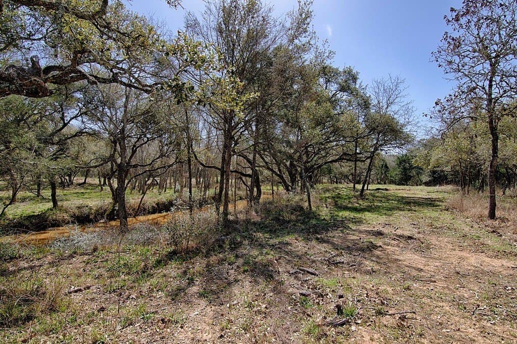 5.01 acres in Colorado County - photo 12