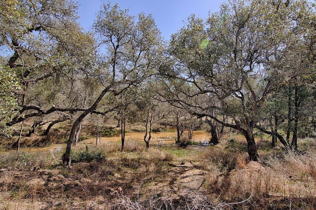 5.01 acres in Colorado County - photo 10