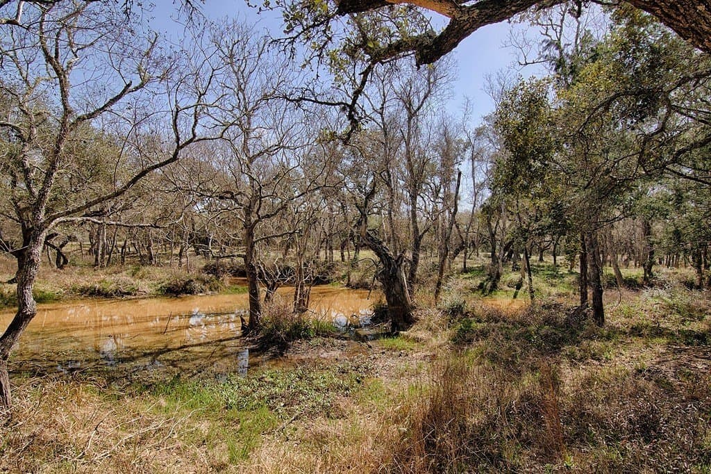 5.01 acres in Colorado County - photo 11