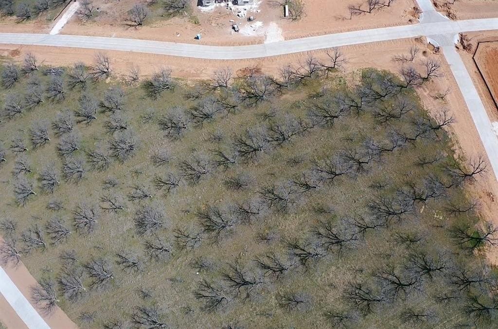 1 acres in Hood County gallery image 4