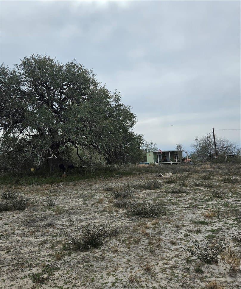 2.5 acres in Live Oak County - photo 9