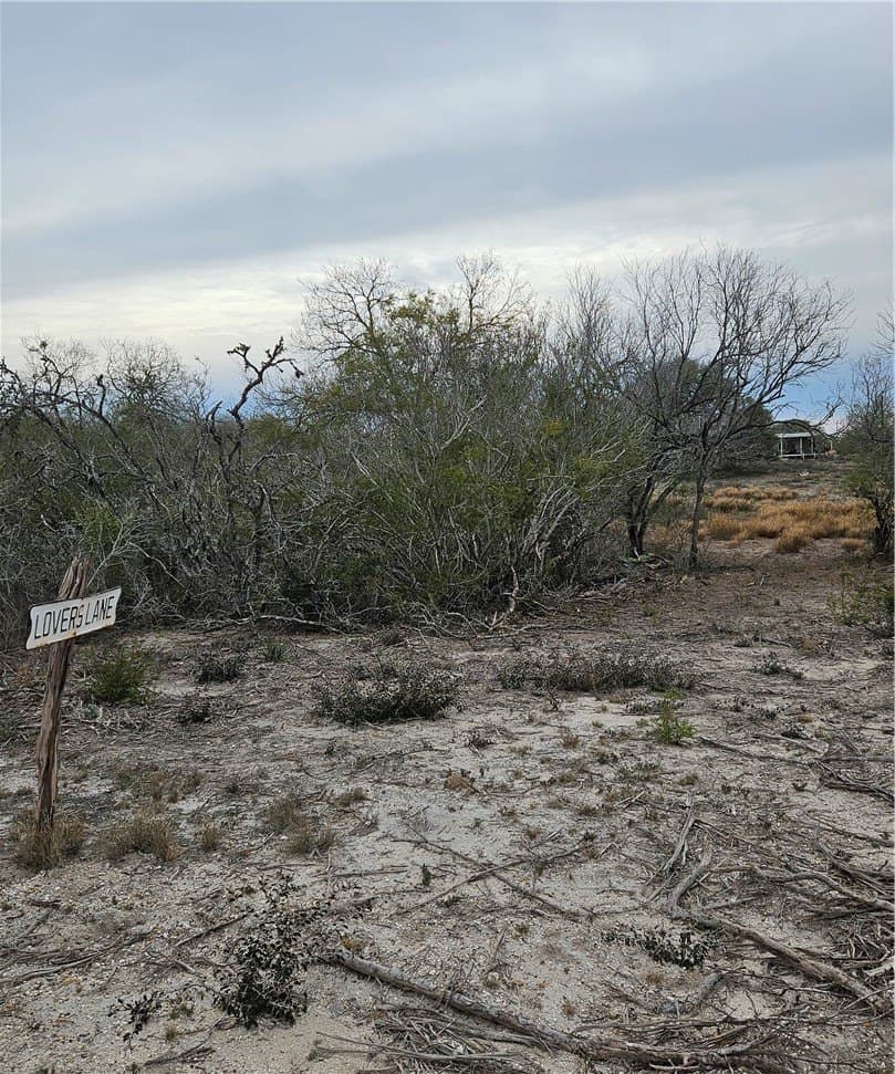 2.5 acres in Live Oak County - photo 8