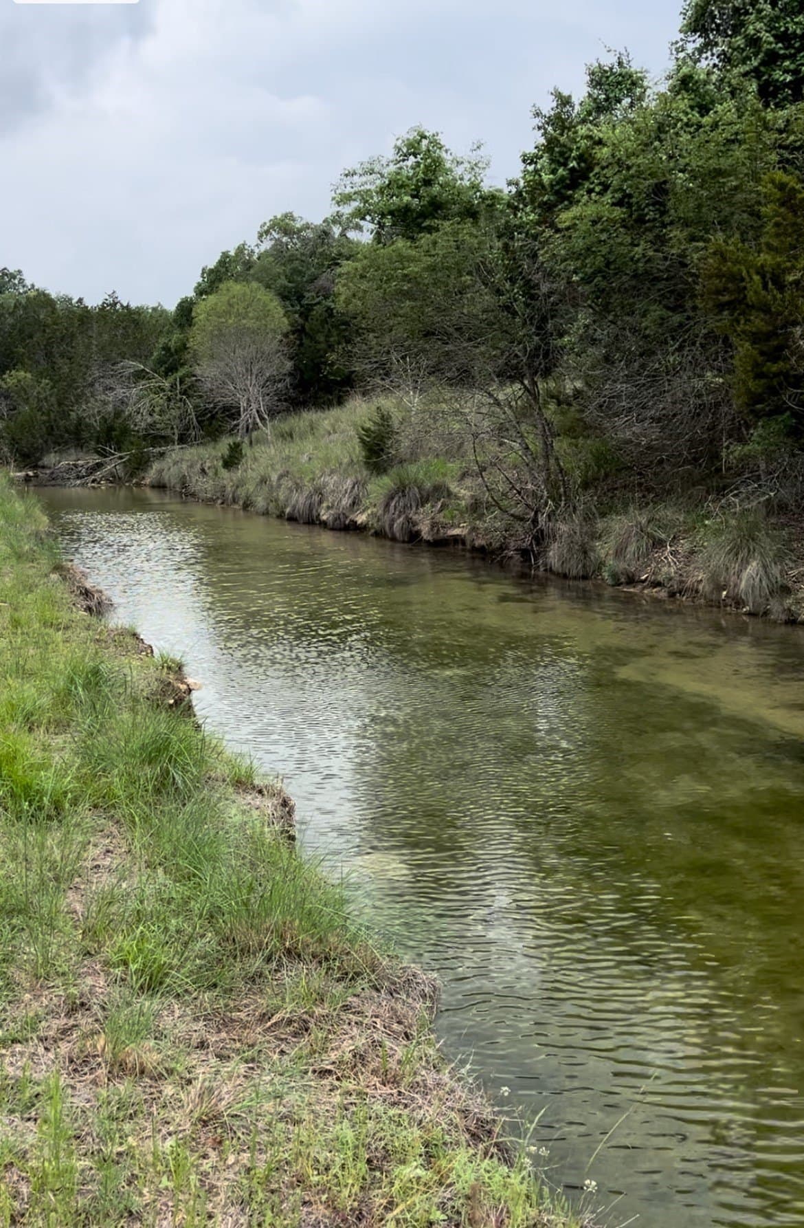 5.45 acres in Hays County - photo 13