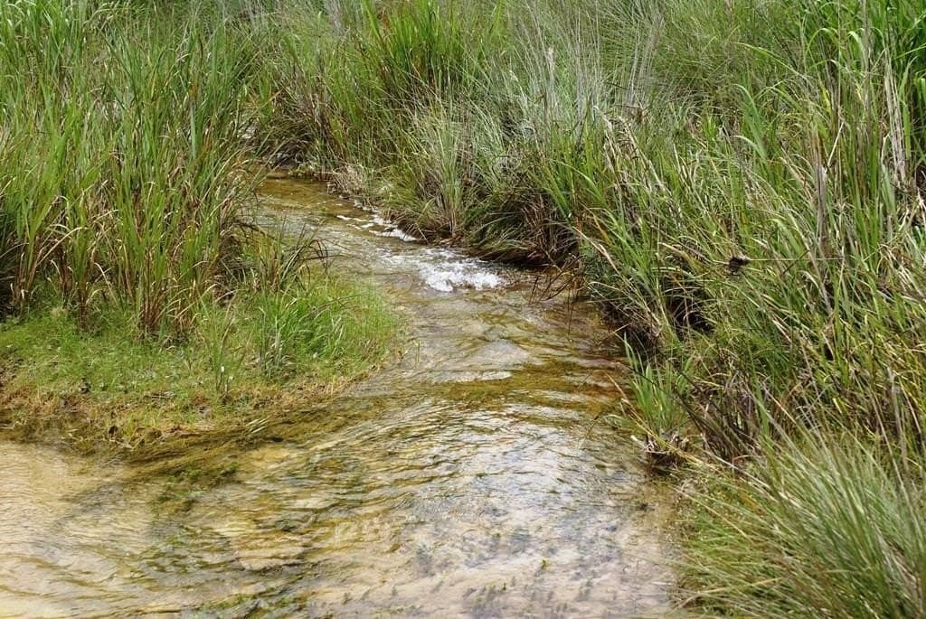5.45 acres in Hays County - photo 23