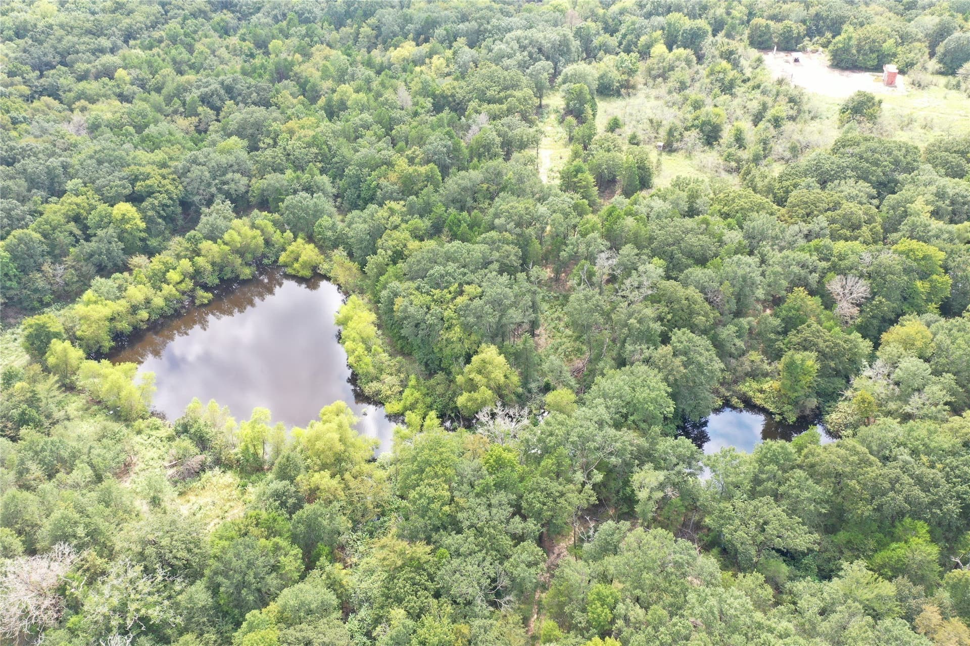 58.16 acres in Freestone County - photo 3