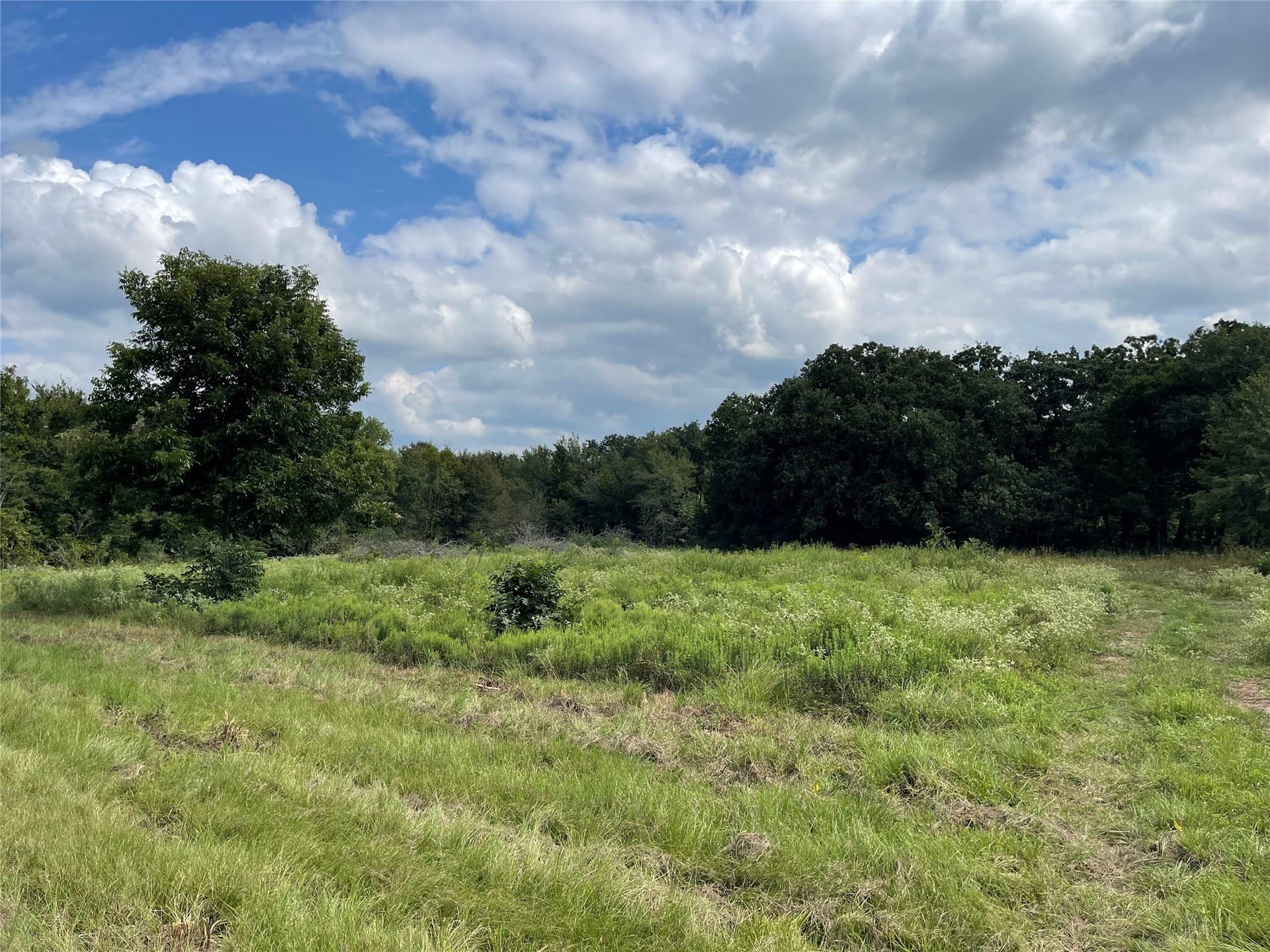 58.16 acres in Freestone County - photo 4