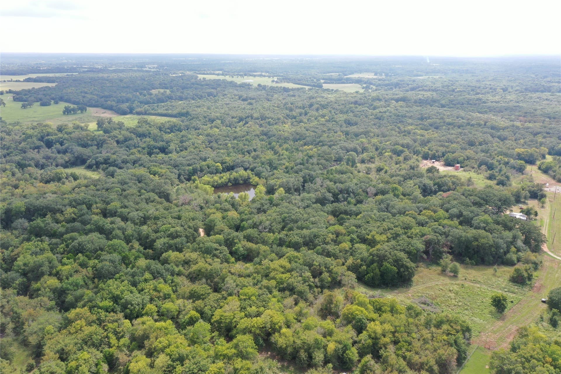 58.16 acres in Freestone County - photo 7