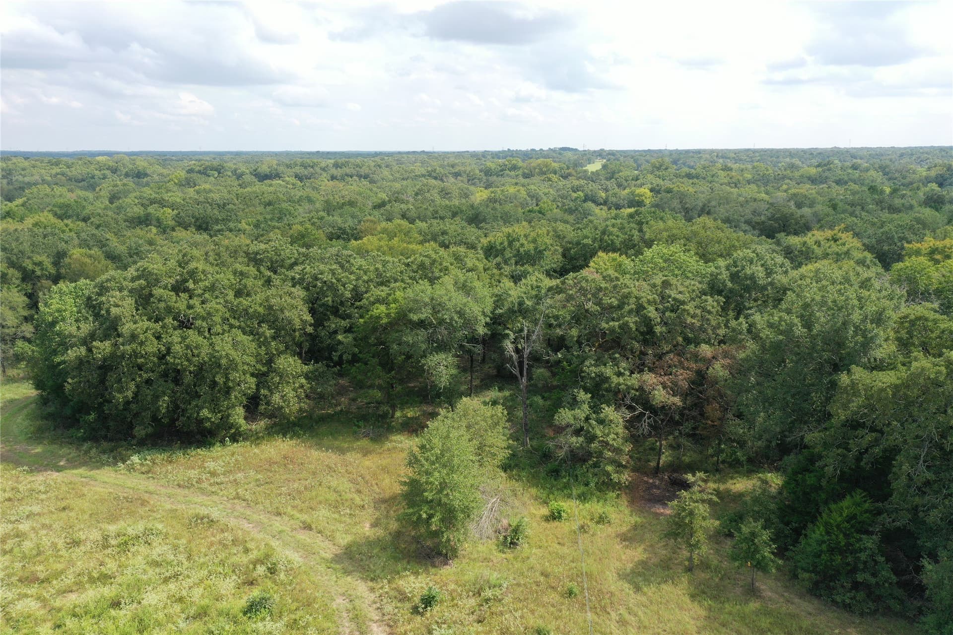 58.16 acres in Freestone County - photo 2