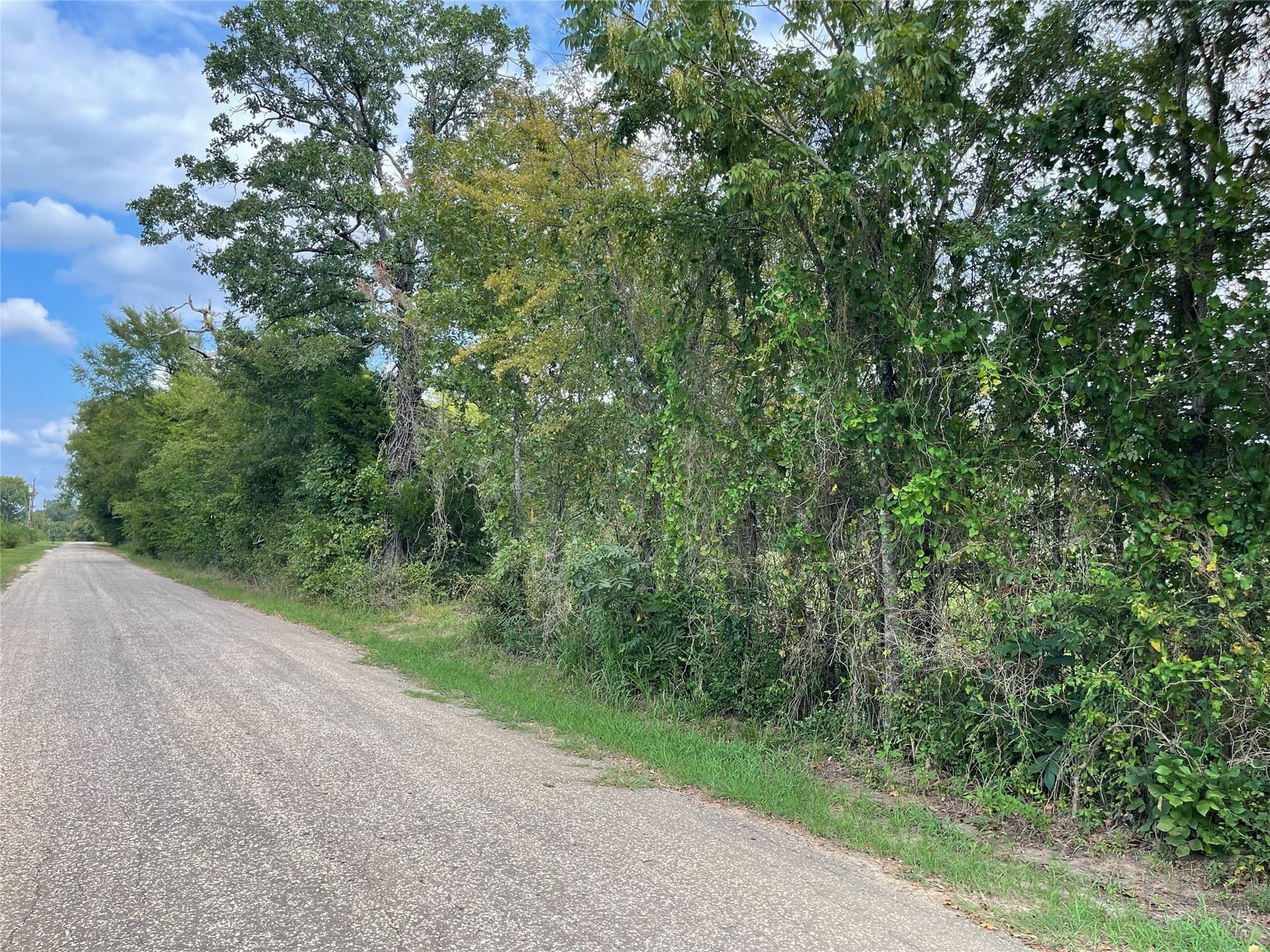 58.16 acres in Freestone County - photo 8