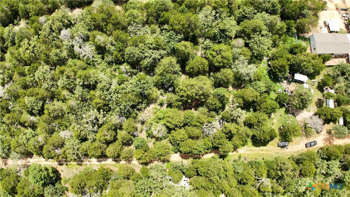 0.14 acres in Bastrop County - photo 14